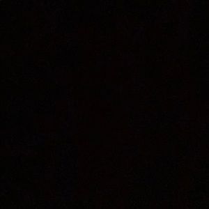 Meet your Posher, Xavier